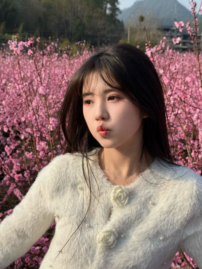 日韩a级免费视频：探索其文化背景、市场现状与理性观看指南